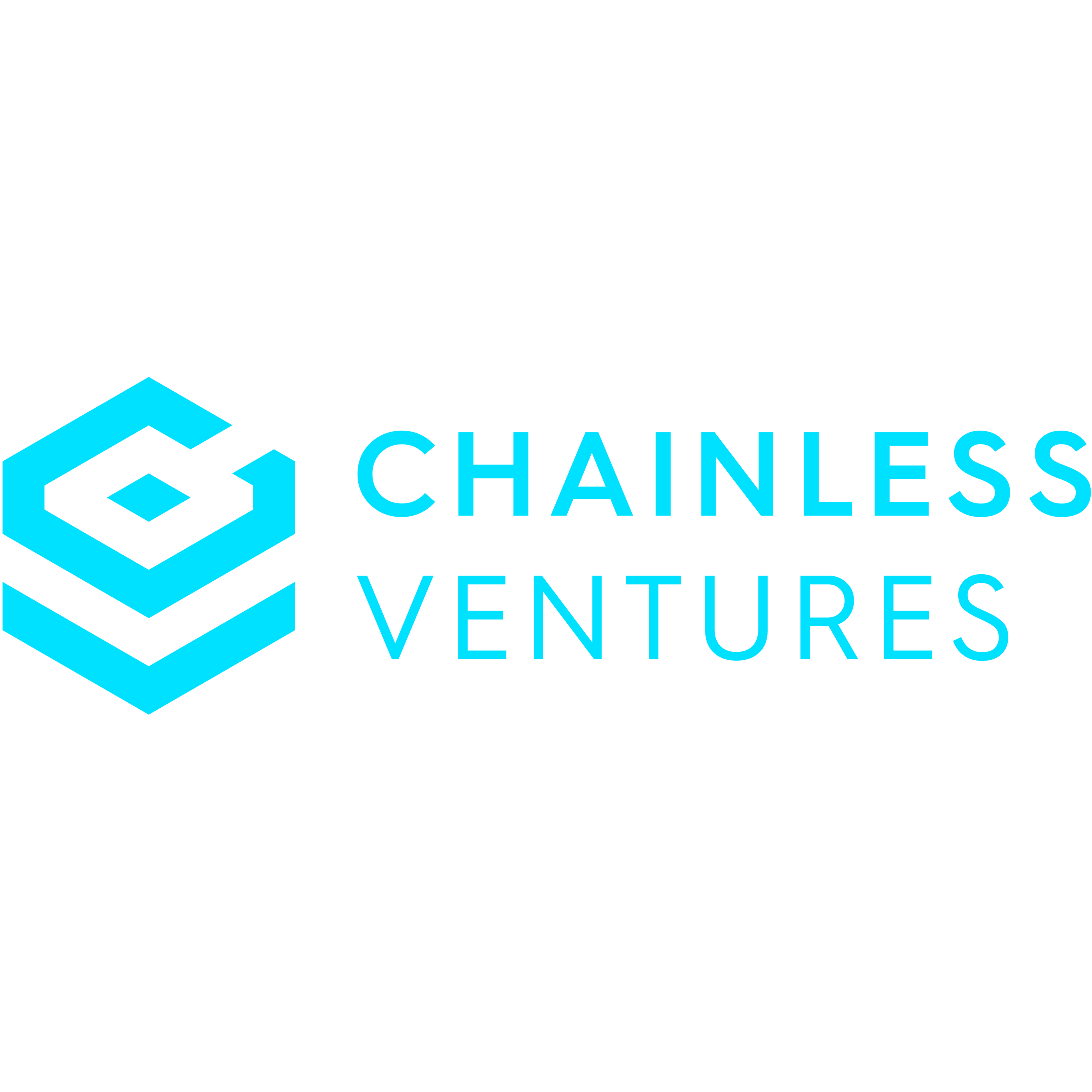 Chainless Ventures logo